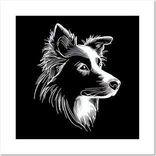 Portrait of a Border Collie Posters and Art